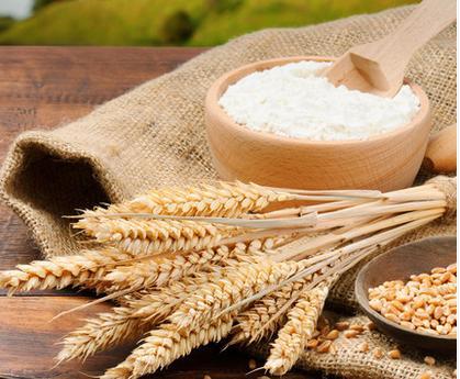 面粉制品改良劑主要有哪些？